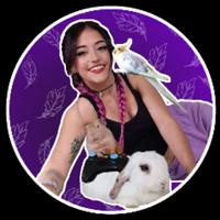 littlebirds8's Twitch profile picture