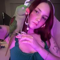 littlebirdyasmr's Twitch profile picture