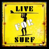 liveforsurf's Twitch profile picture