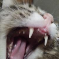logan_usa's Twitch profile picture