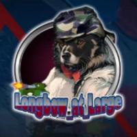 longbow_at_large's Twitch profile picture