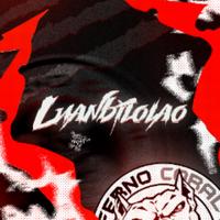 luanbilolao's Twitch profile picture