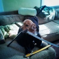 lucaspagun's Twitch profile picture