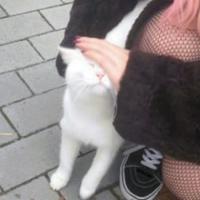 machotizy's Twitch profile picture