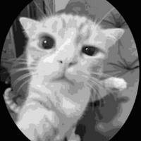 maintavern's Twitch profile picture