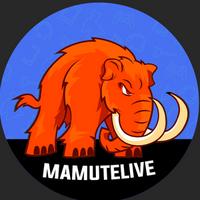 mamutelive's Twitch profile picture