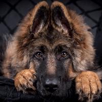 mar_wac's Twitch profile picture