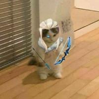 mariacrds's Twitch profile picture