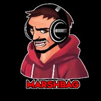 marshbag12's Twitch profile picture