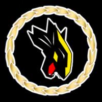 maskedherovic's Twitch profile picture