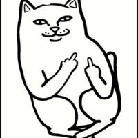massfun's Twitch profile picture
