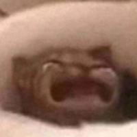 masterxds's Twitch profile picture