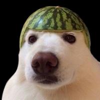matixoxoo_'s Twitch profile picture