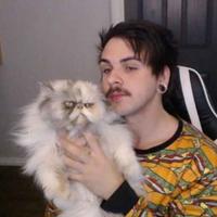 mcspicy777's Twitch profile picture