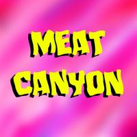 meatcanyon's Twitch profile picture