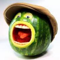 melonfarmermike's Twitch profile picture