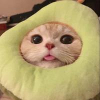mesh01_'s Twitch profile picture