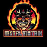 metalmatrix's Twitch profile picture