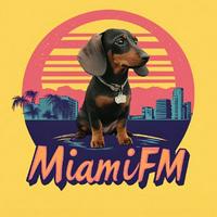 miamifm's Twitch profile picture