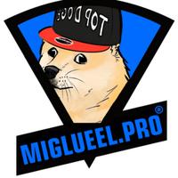 miglueel's Twitch profile picture