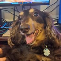 missaimeejo's Twitch profile picture