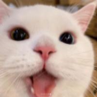 missing's Twitch profile picture