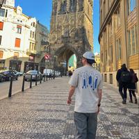 moritzz77's Twitch profile picture