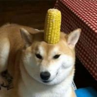 mr_hecc's Twitch profile picture