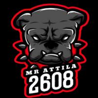 mrattila2608ontour's Twitch profile picture