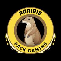 mrprairieplays's Twitch profile picture