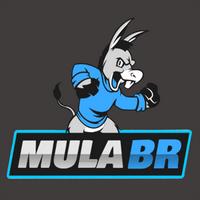 mula_br's Twitch profile picture