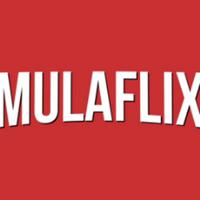 mulaflix's Twitch profile picture