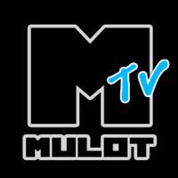 mulottv's Twitch profile picture