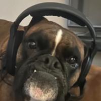 mumbojumbo_7's Twitch profile picture