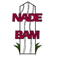 nadebam's Twitch profile picture