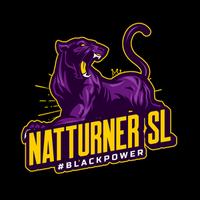 natturnersl's Twitch profile picture
