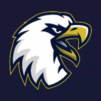 nighthawks_football's Twitch profile picture