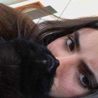 norh's Twitch profile picture