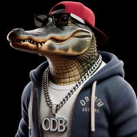 ondabayou's Twitch profile picture