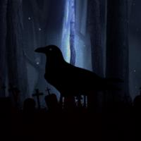 oneginov's Twitch profile picture