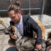 orikwan's Twitch profile picture