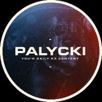 palycki's Twitch profile picture