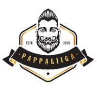 pappaliigapubg2's Twitch profile picture