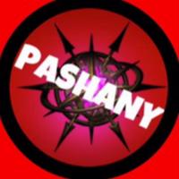 pashanyy's Twitch profile picture