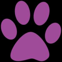pawgerz's Twitch profile picture