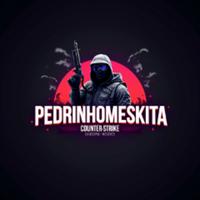 pedrinhomeskita's Twitch profile picture