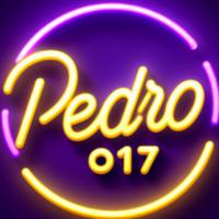 pedro017yt's Twitch profile picture