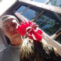 pedrobananatft's Twitch profile picture