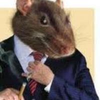 pegarataotv's Twitch profile picture