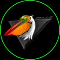 pelle981's Twitch profile picture